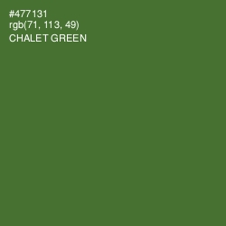 #477131 - Chalet Green Color Image